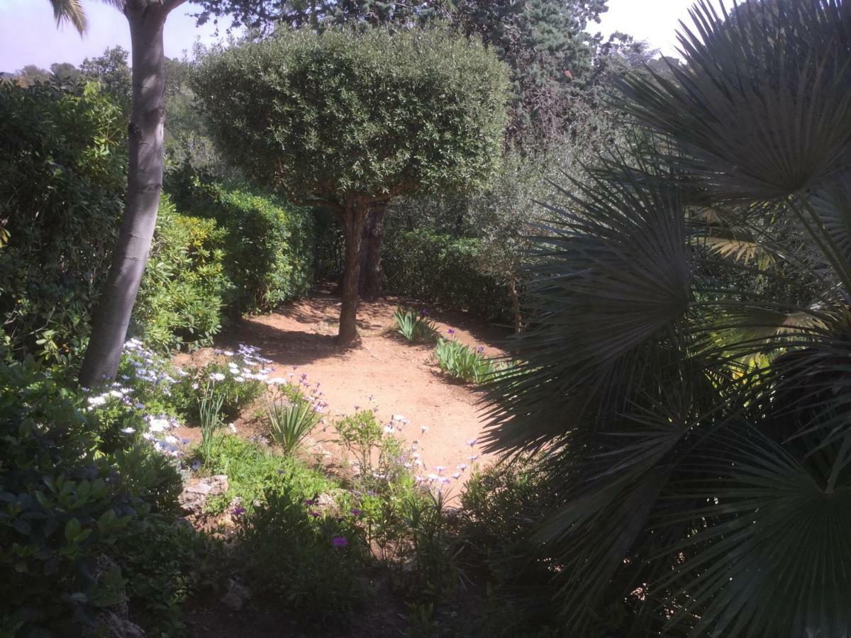 Villa Macoran 2 étoiles Saint Aygulf Extérieur photo